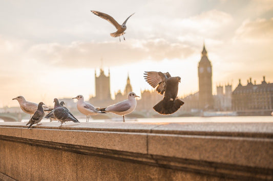 Romantic London Strolls